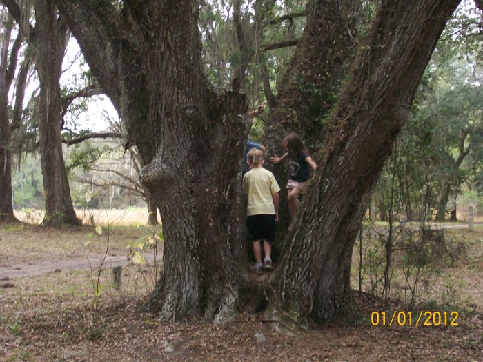 2012-Jan-02HGR4X4Croom 104